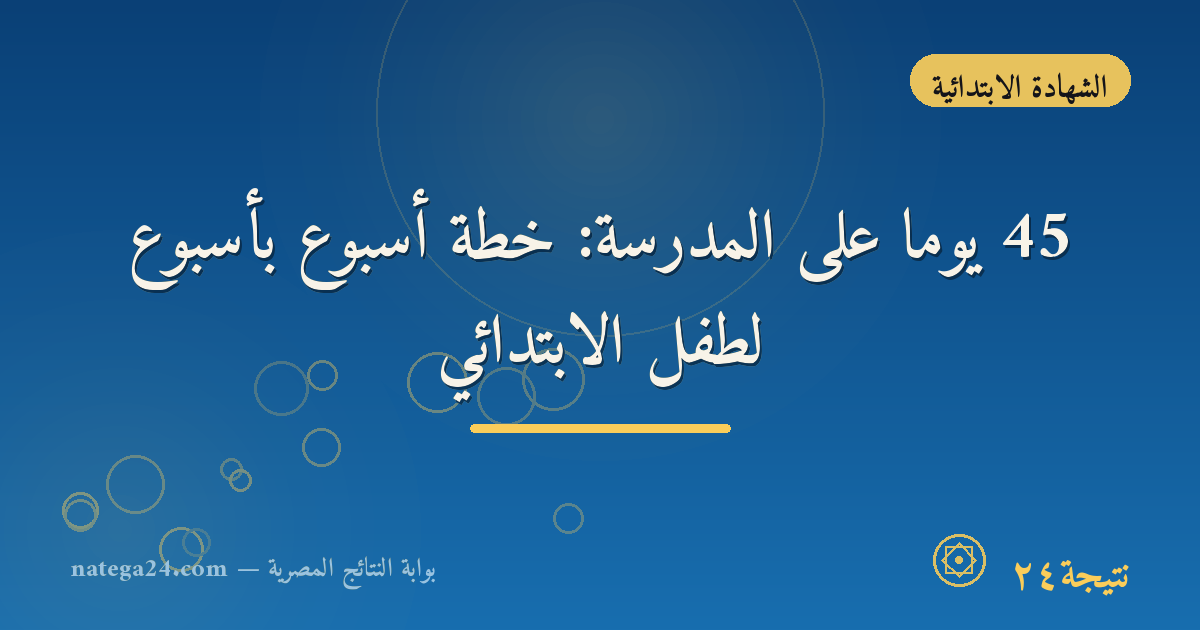 45 يومًا على المدرسة: خطة أسبوع بأسبوع لطفل الابتدائي