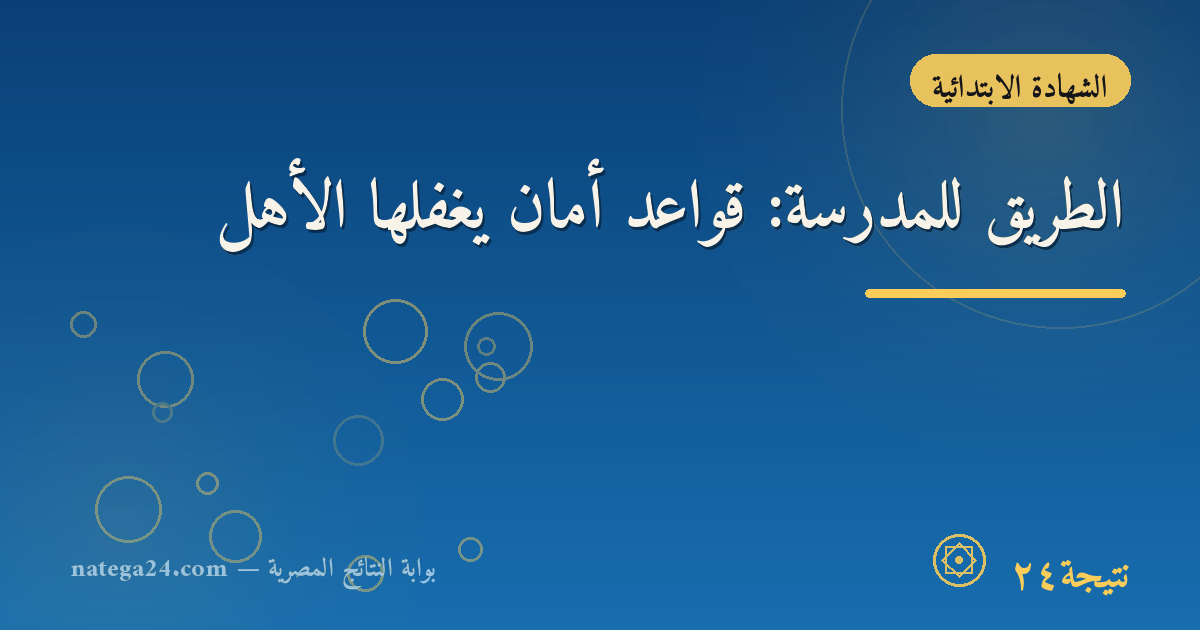 الطريق للمدرسة: قواعد أمان يغفلها الأهل