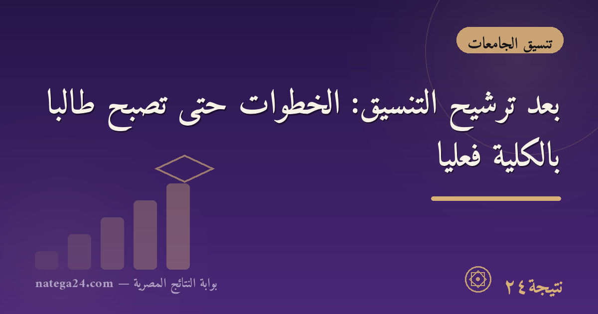 بعد ترشيح التنسيق: الخطوات حتى تصبح طالبًا بالكلية فعليًا