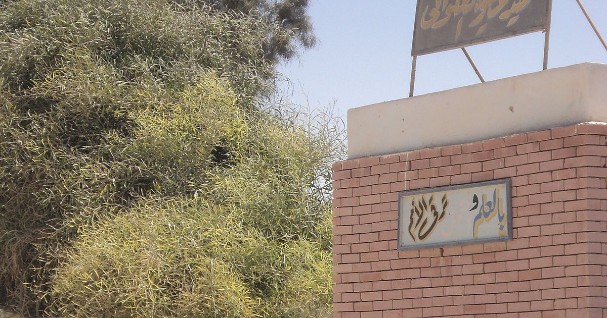 طلاب داخل معمل حاسب آلي بمدرسة مصرية