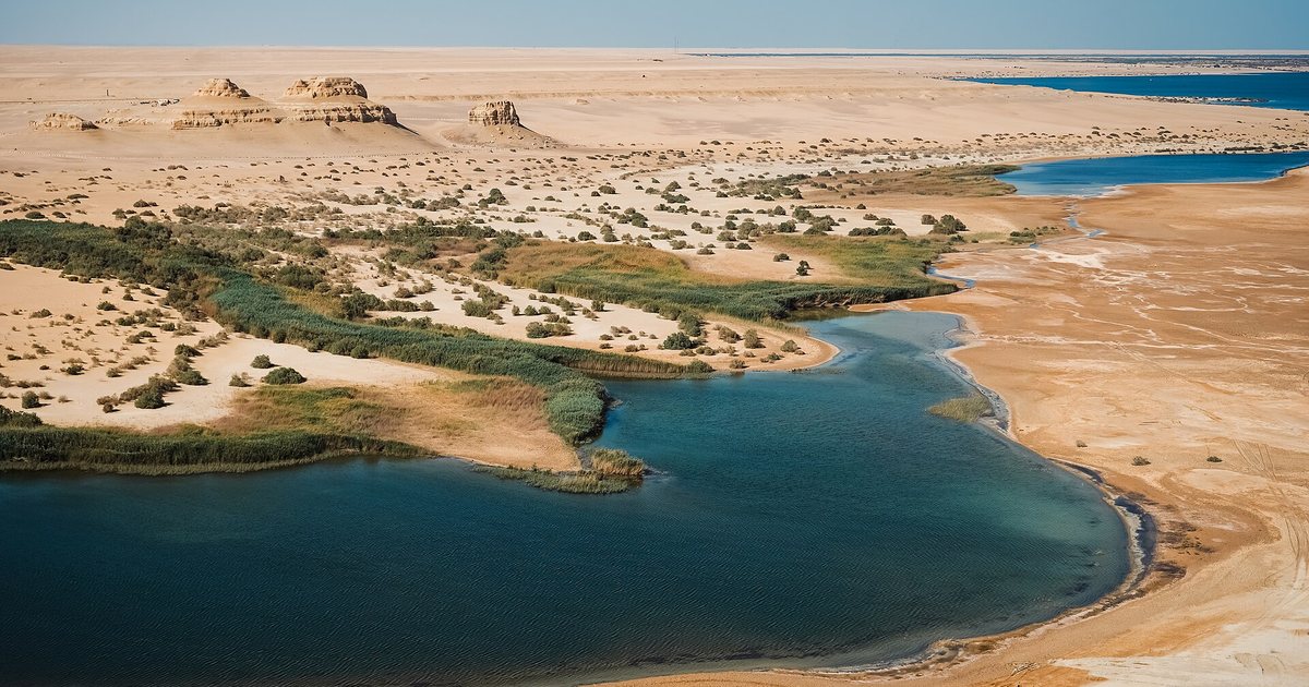 معلم من محافظة الفيوم