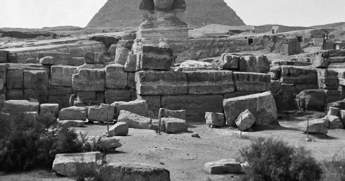 معلم من محافظة الجيزة