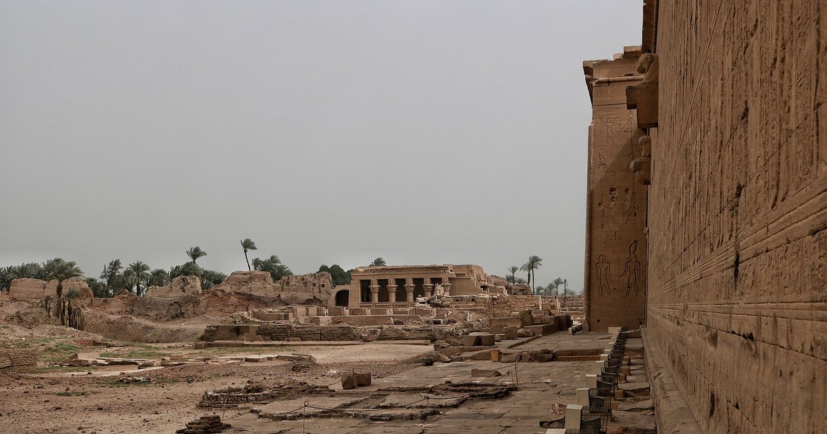 معلم من محافظة قنا