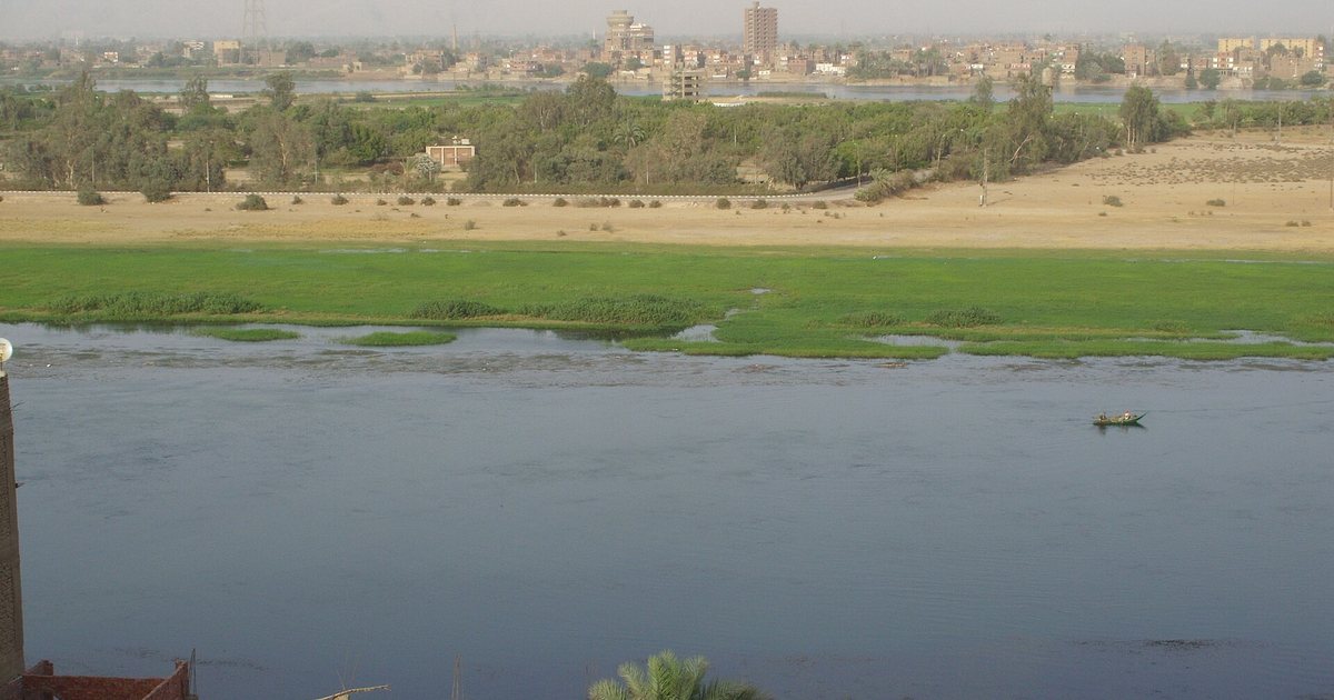 معلم من محافظة سوهاج
